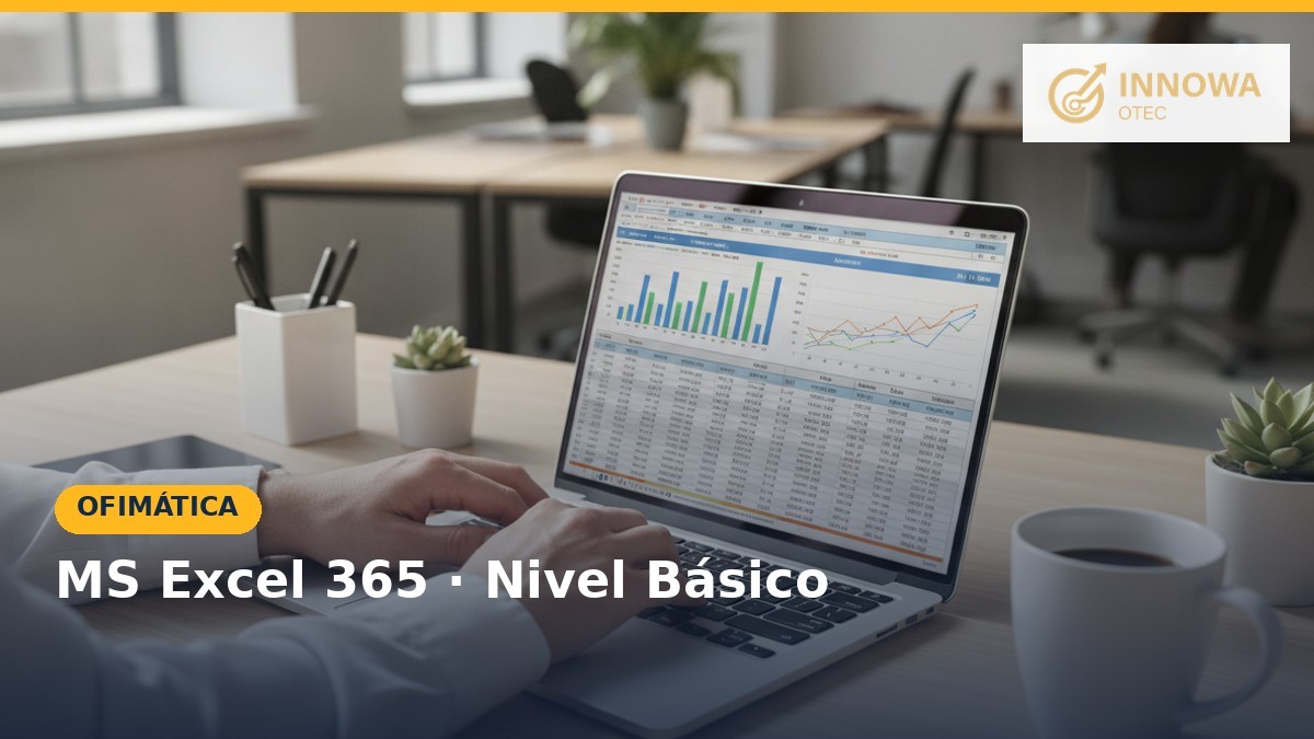 MS Excel 365, nivel básico